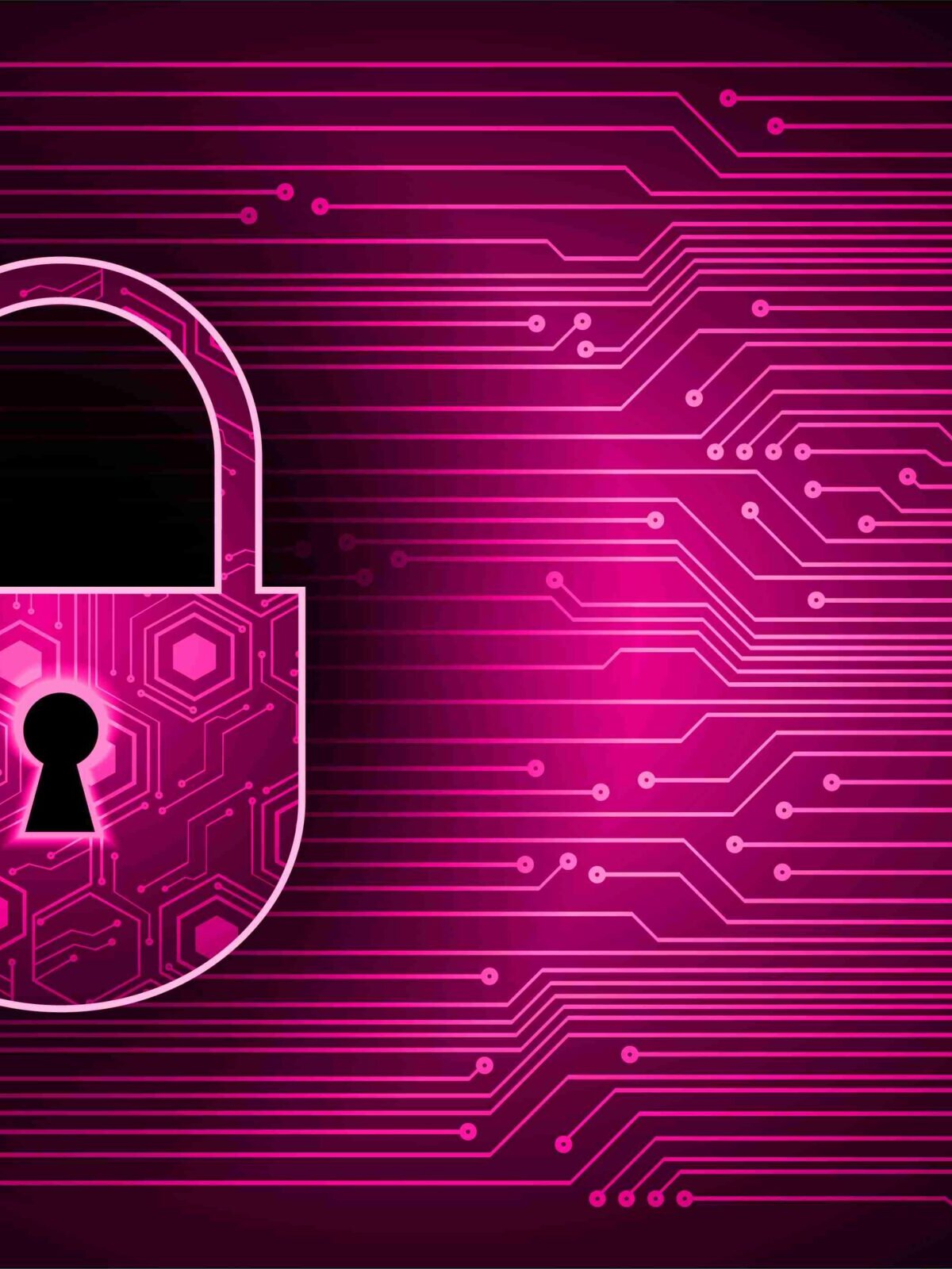 qué es PAM en ciberseguridad